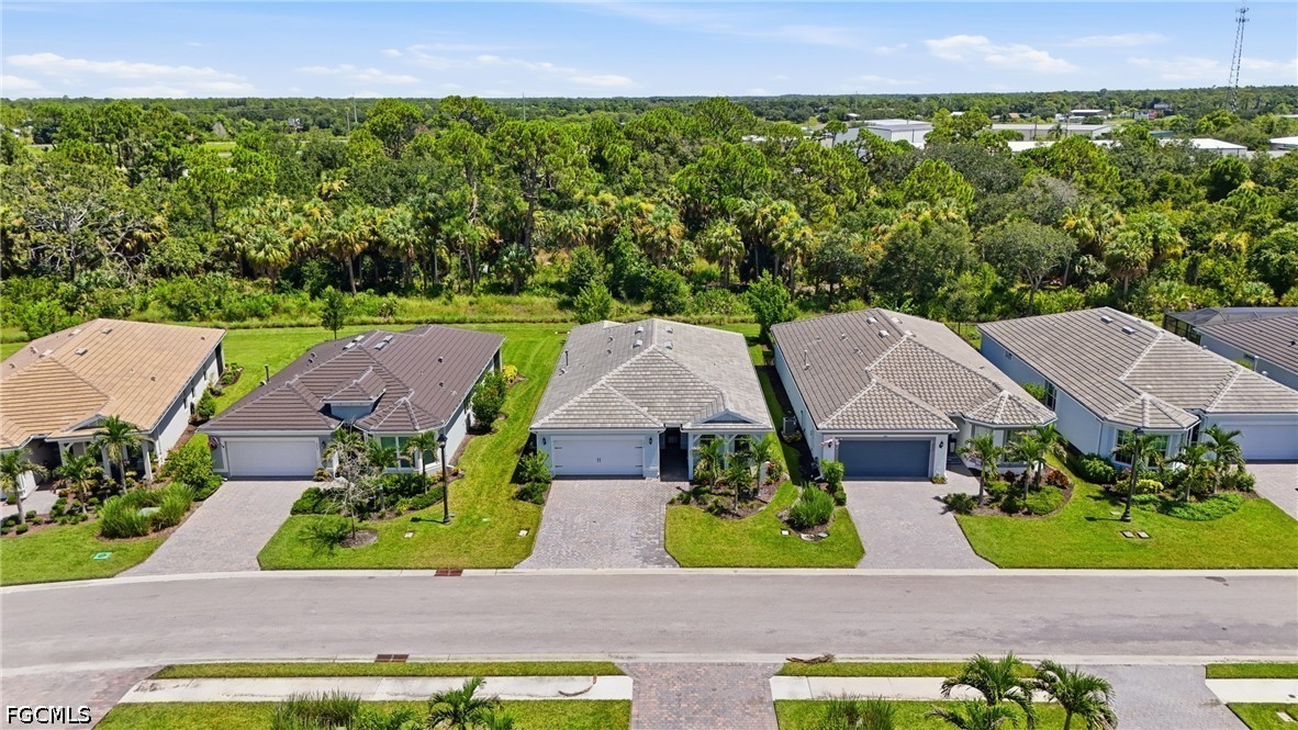 7517 Paradise Tree Drive