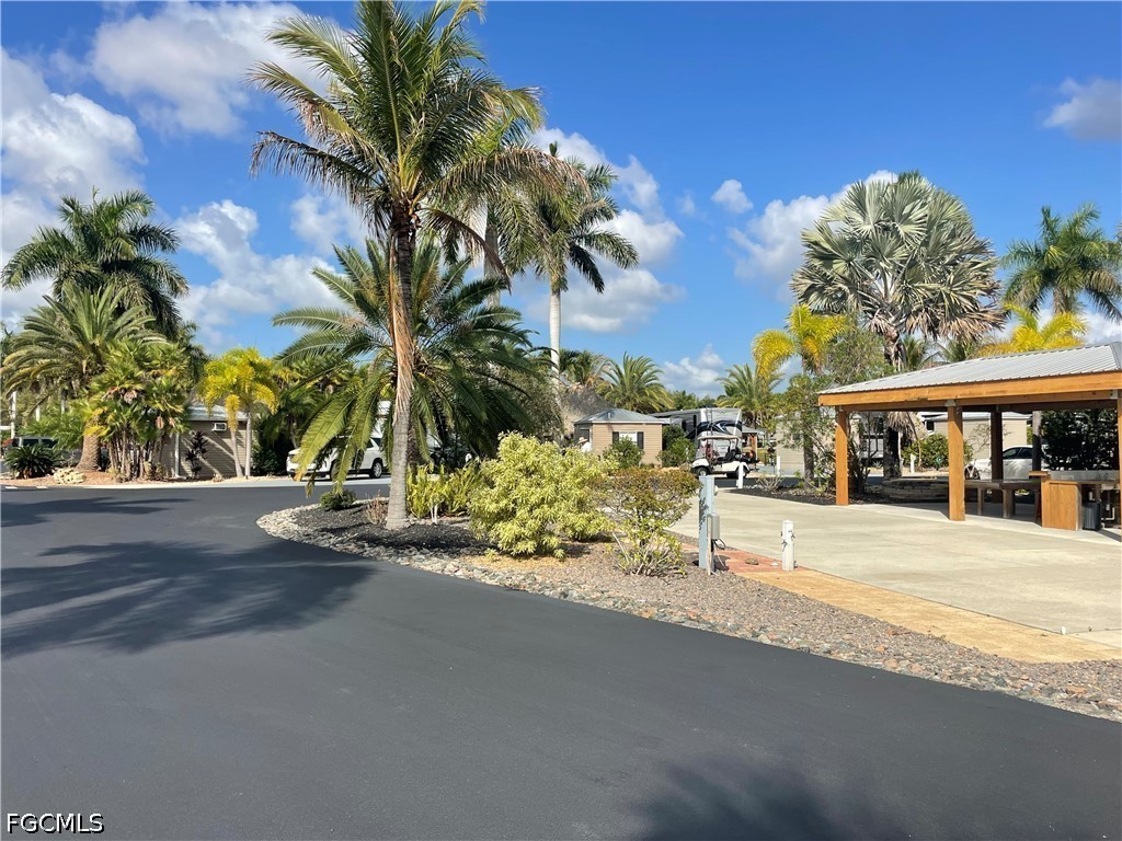 5235 Pineland Daisy Trail