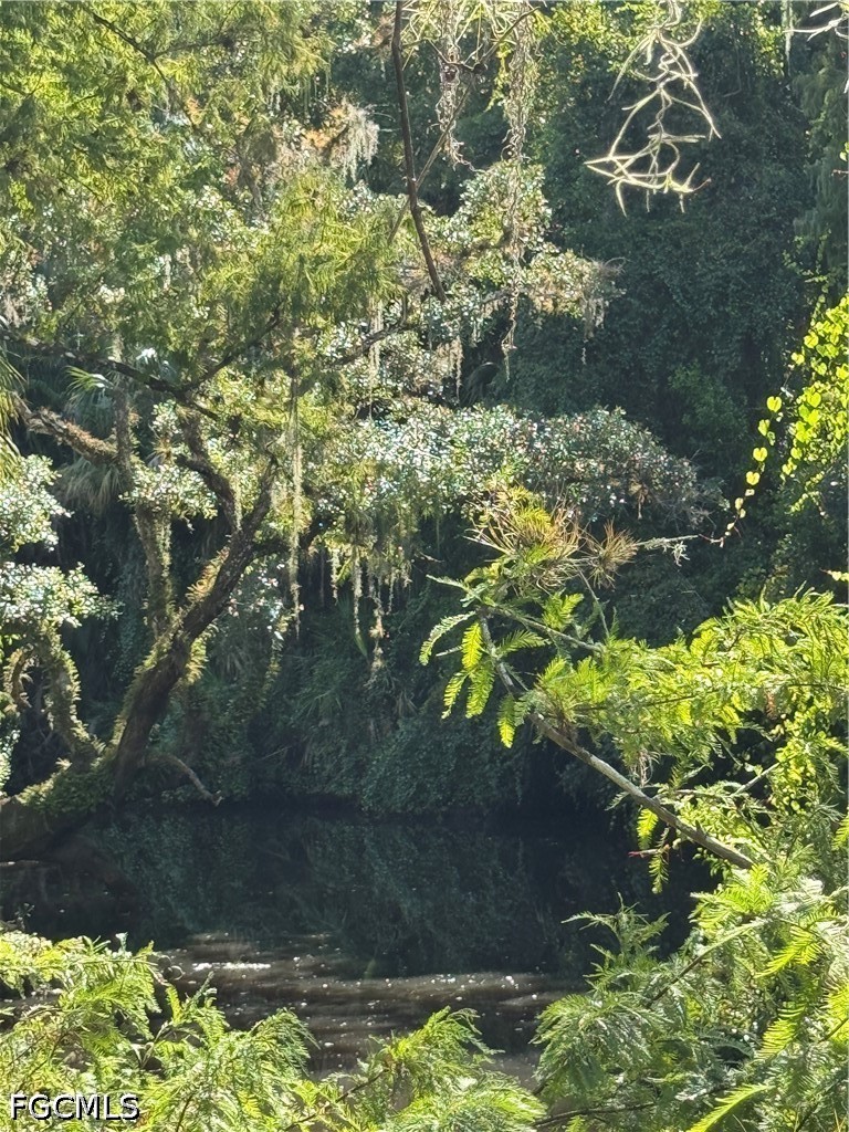 18901 Bridge Wood Court