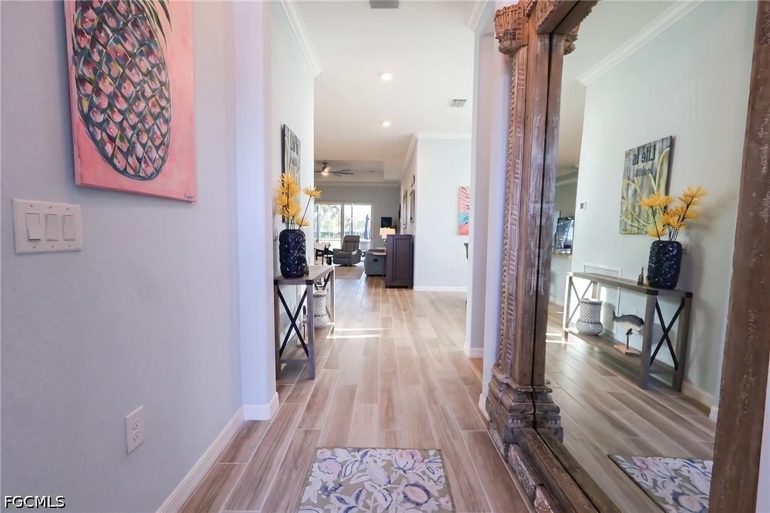 25073 Golden Fern Drive