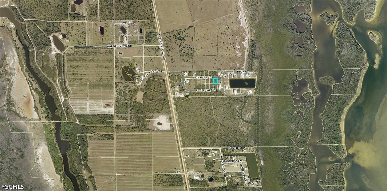 3511  Pink Ibis Drive