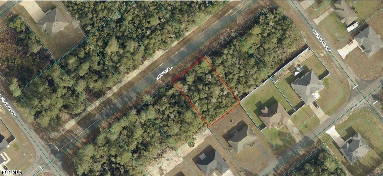 8004-0497-10 SW 167 Loop