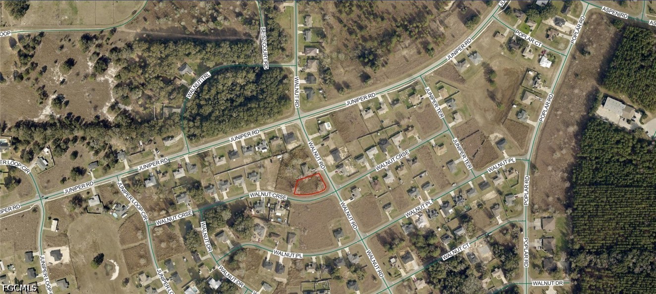 9024-0579-01 Walnut Road