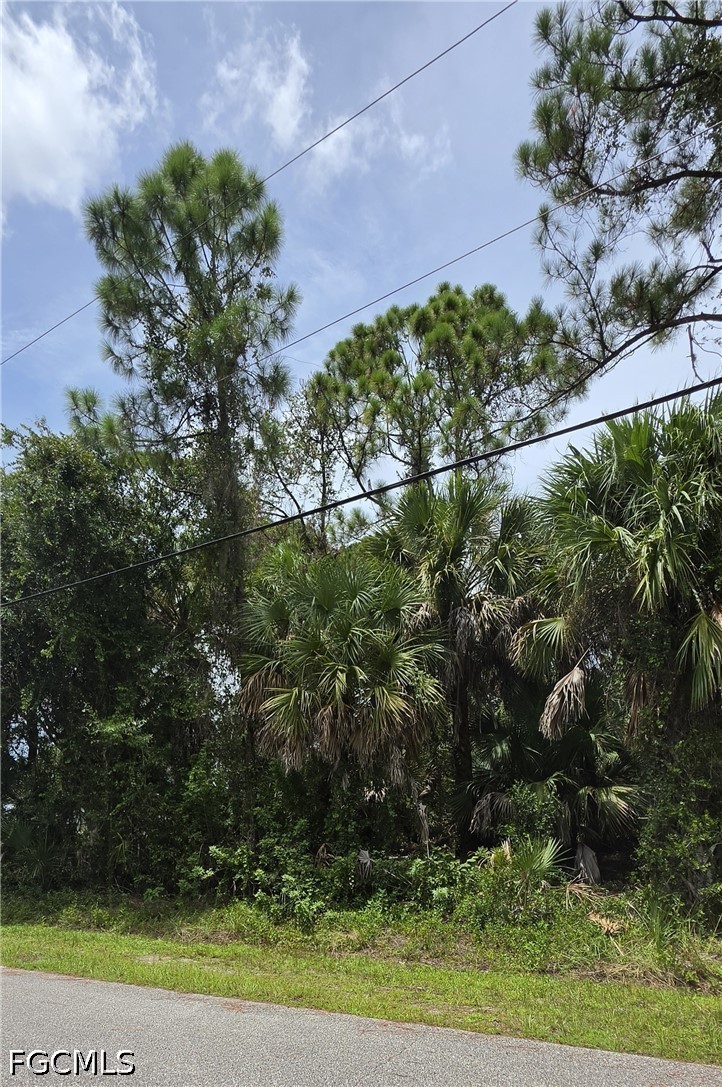 Lot #23  Twinbush Terrace