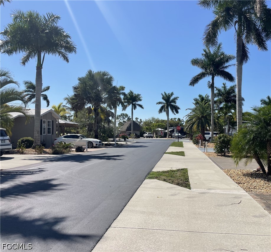 5230 Pineland Daisy Trail