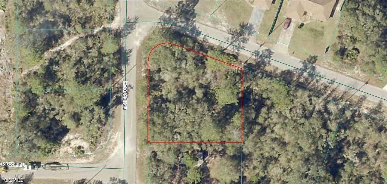 9035-1003-10 SW Fisher Loop