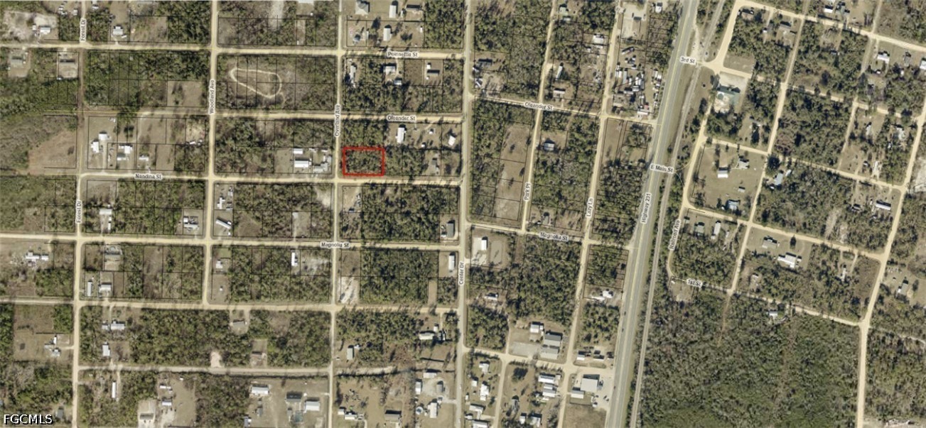 01653-000-000  Nandina Street