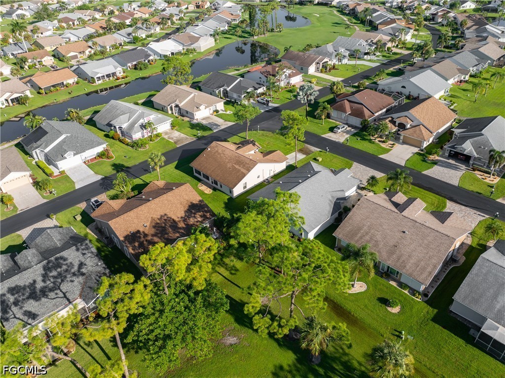 3610 Schefflera Drive