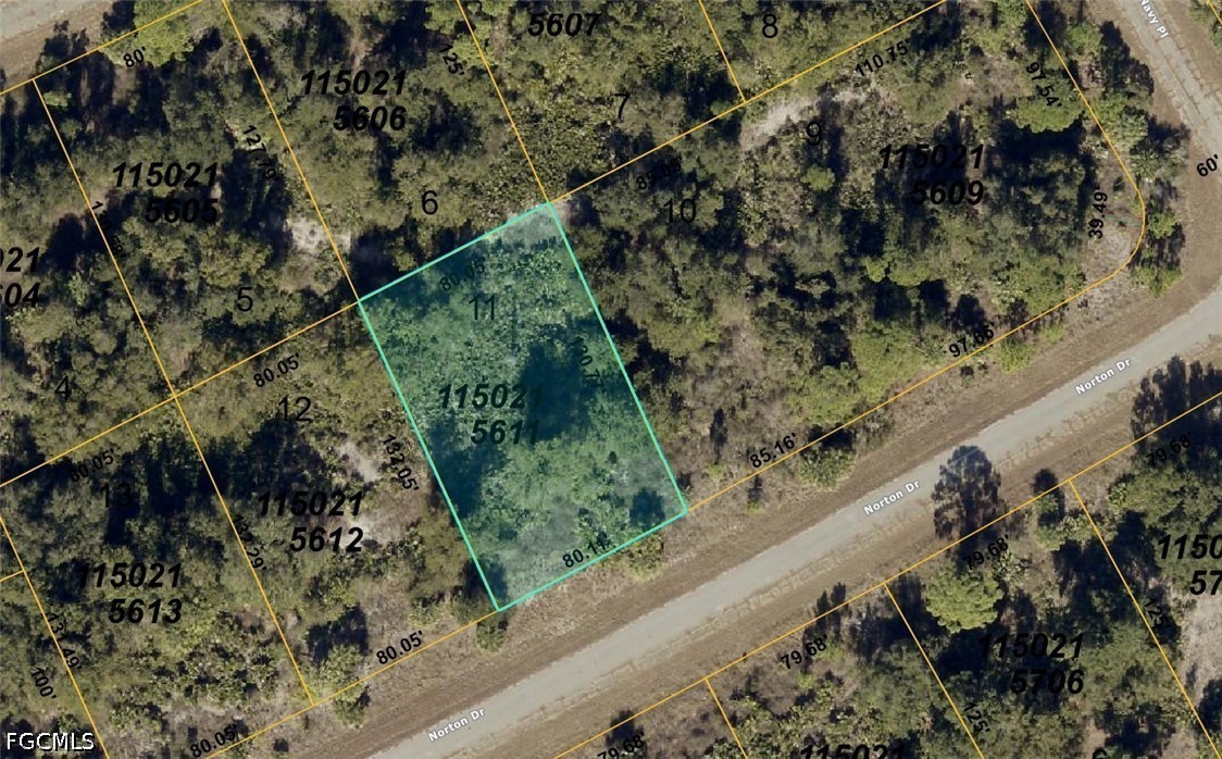 1150215611  Norton Drive