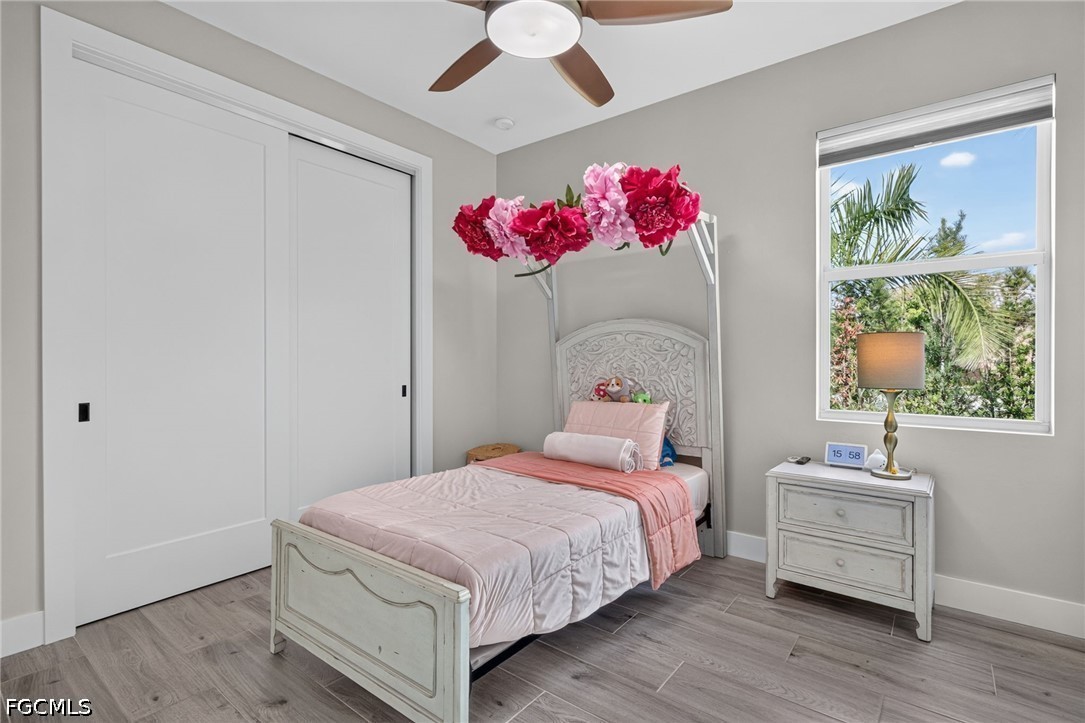 Real Estate in Southwest Florida