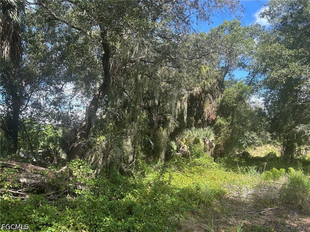 15181  Cemetery Road