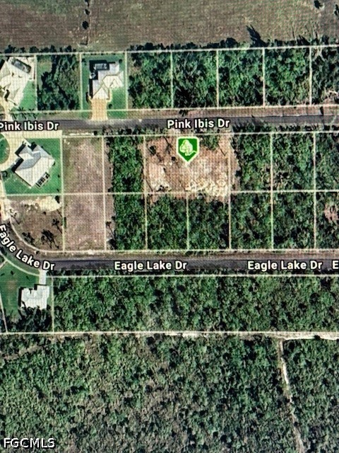 3561 Pink Ibis Drive