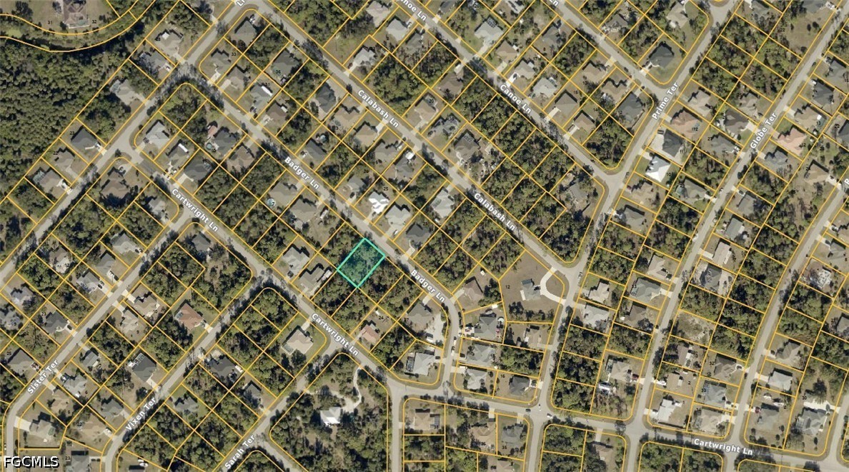 1004019603 Badger Lane