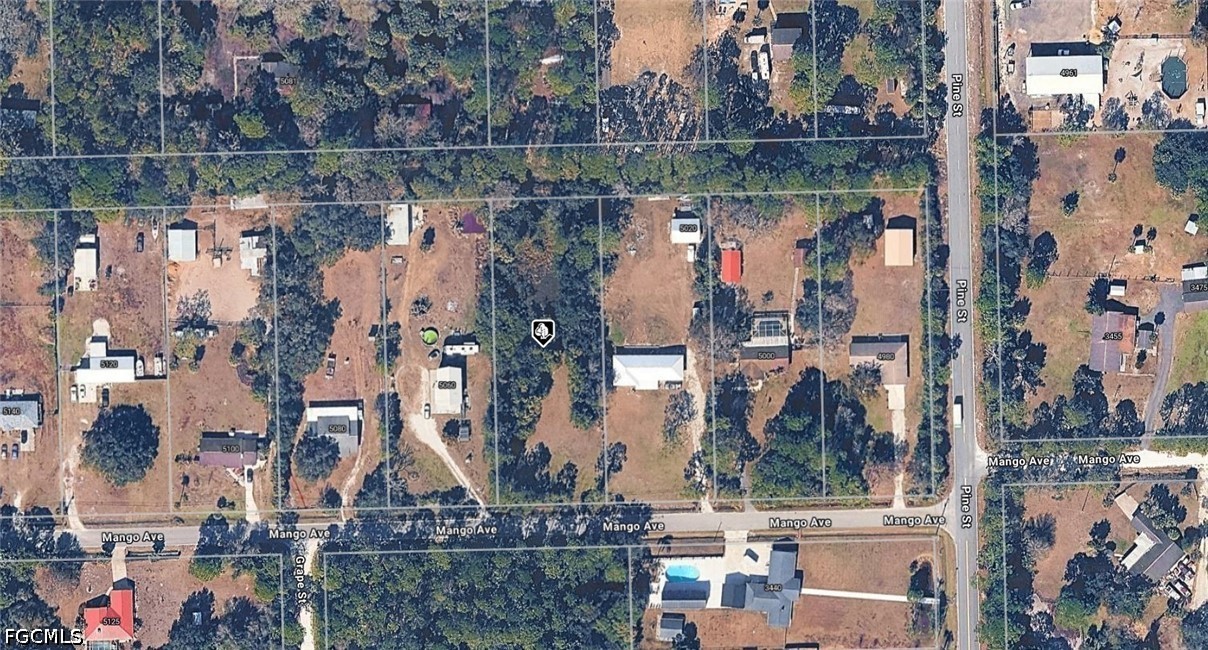 24 3509-50-12-4  Mango Avenue