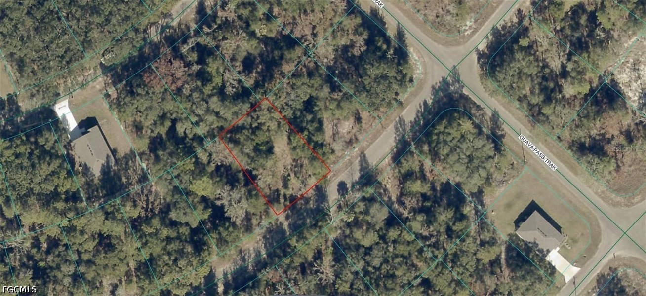 9038-1252-28  Guava Trail