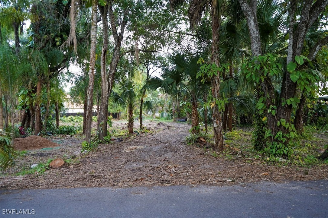 385  Caloosa Drive