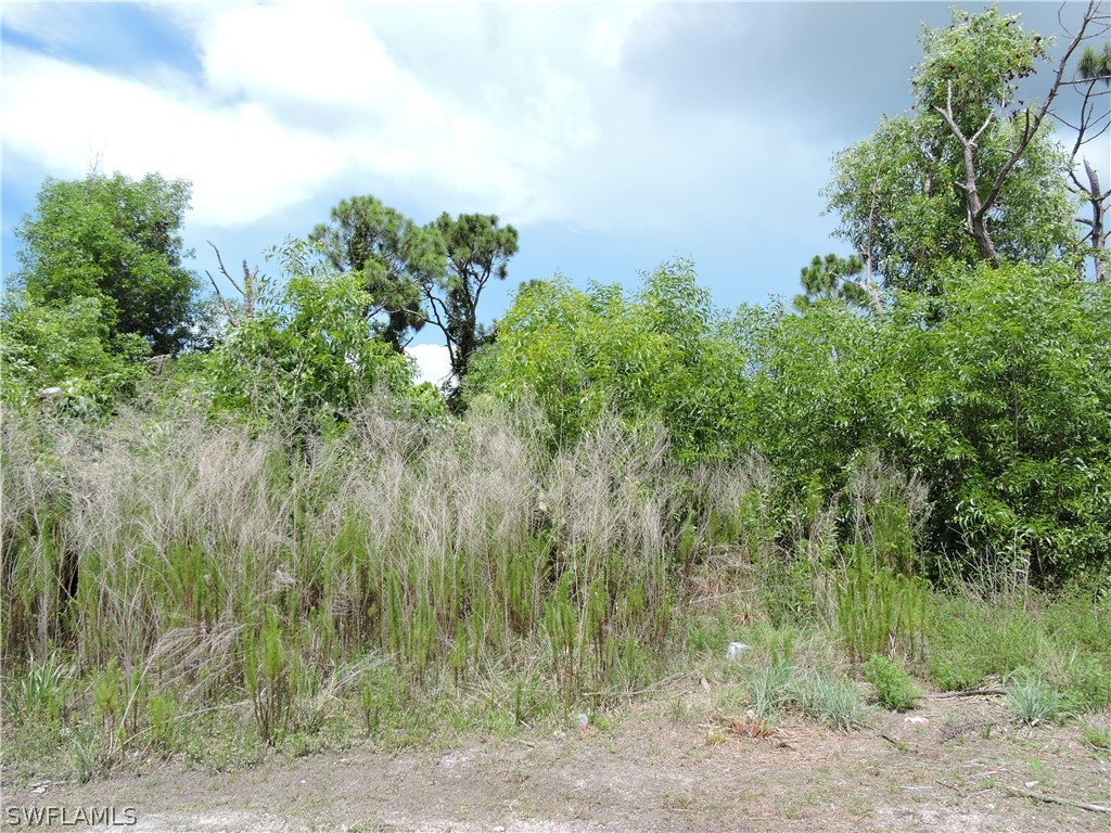 11801  Oscoda Court