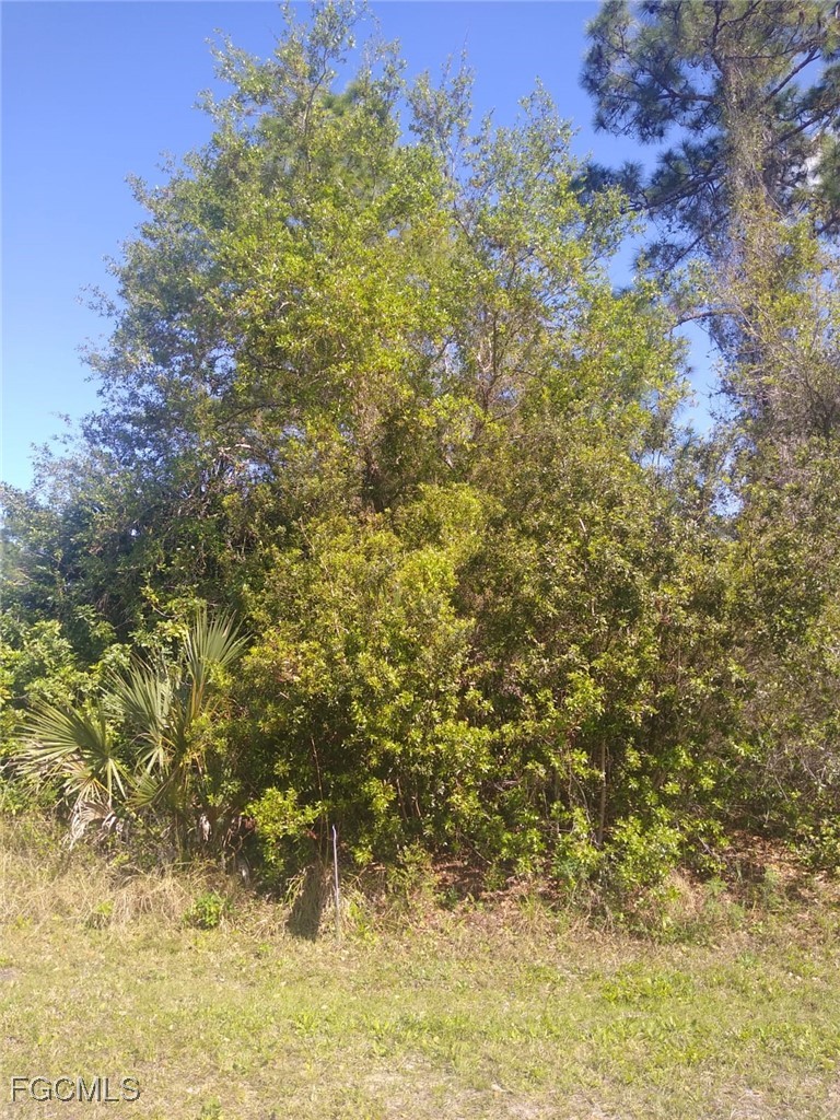306  McDill Drive