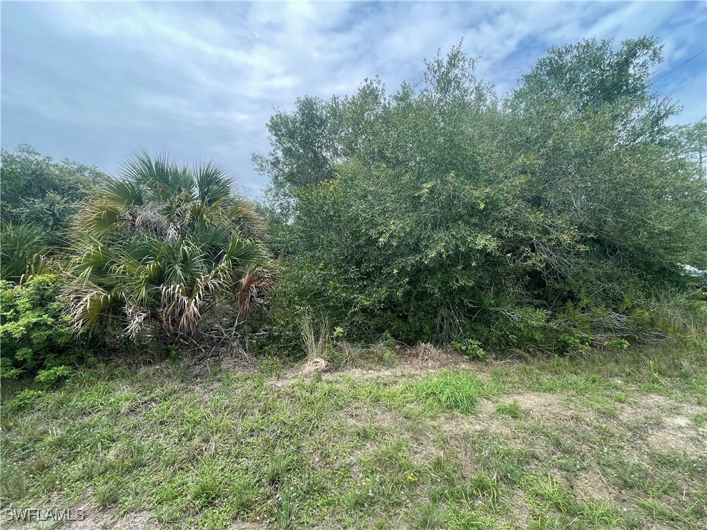 1000 W 14th Street