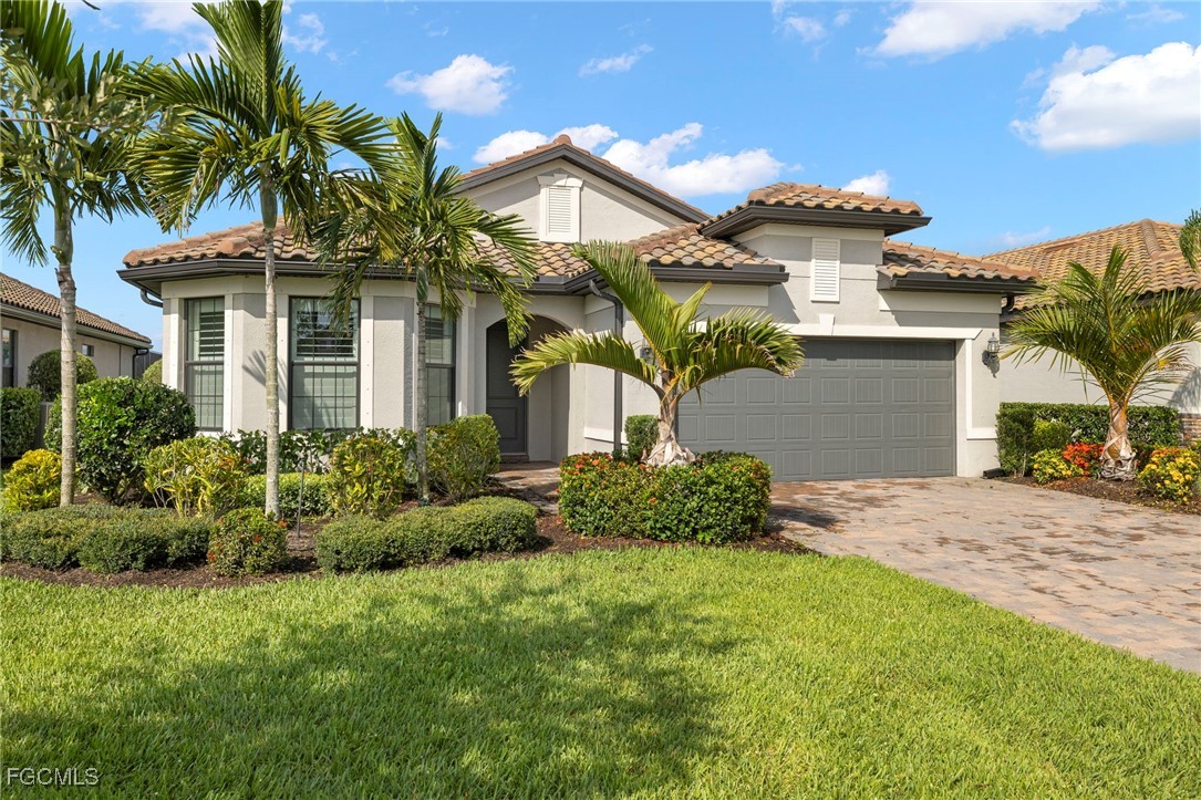 19564  Utopia Lane