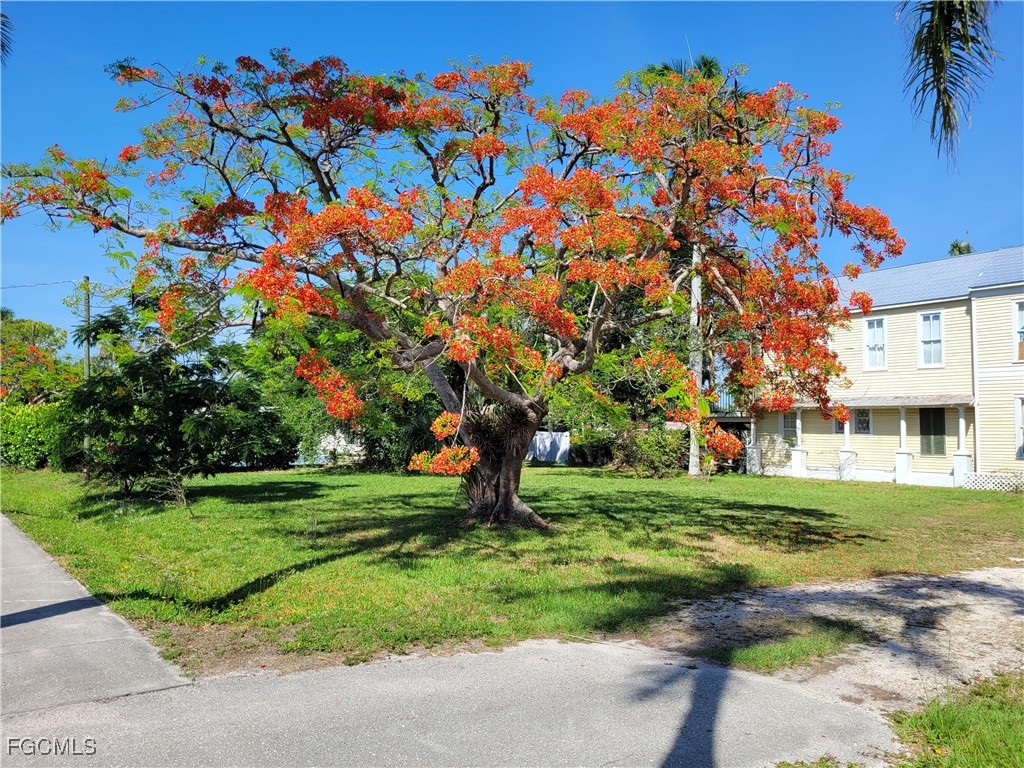 Real Estate in Southwest Florida
