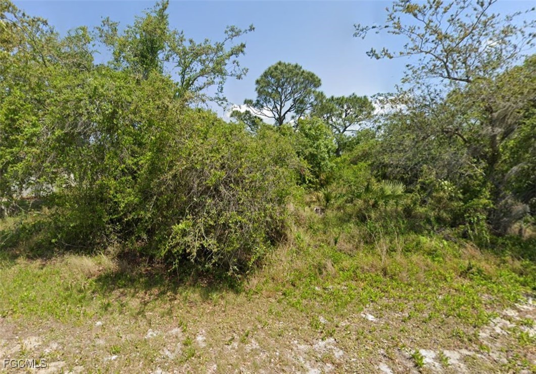 249  Grape Road