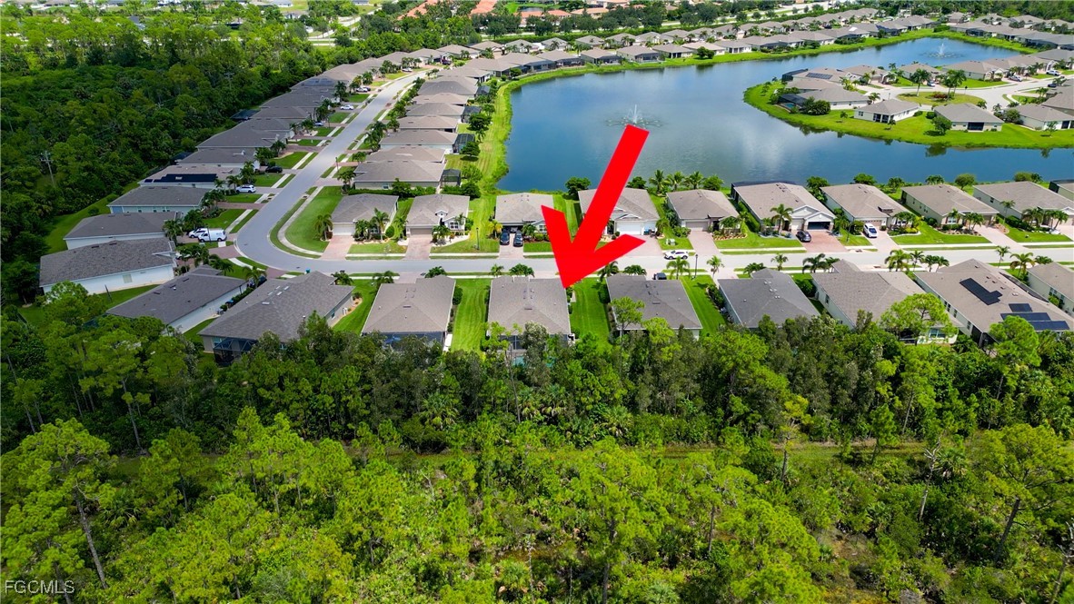 Real Estate in Southwest Florida