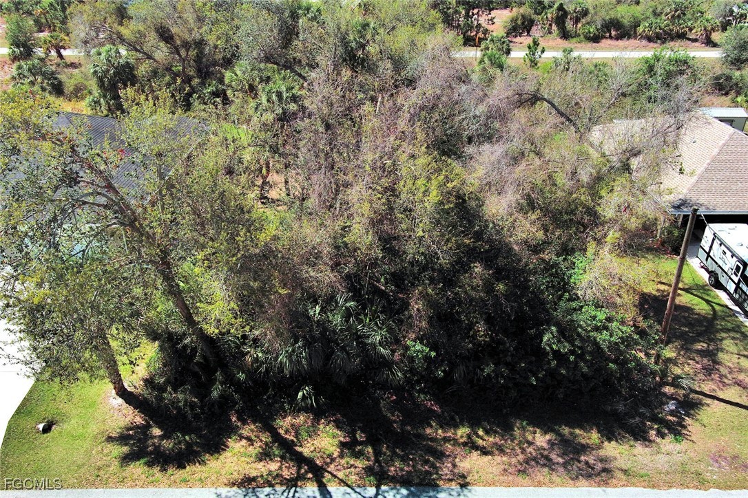 205  Ferdon Circle
