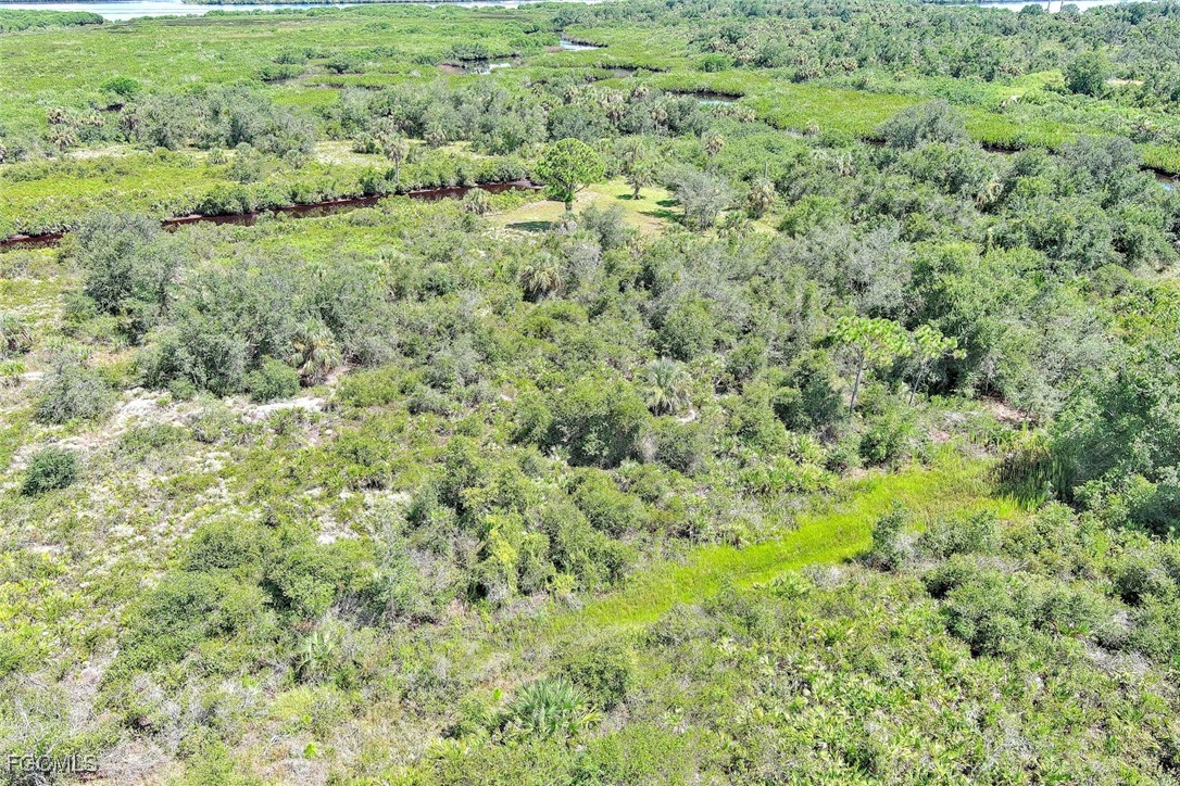 1353  Wallaroo Court