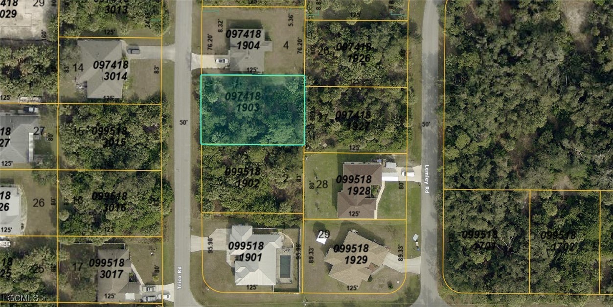 0974-18-1903  Trico Road