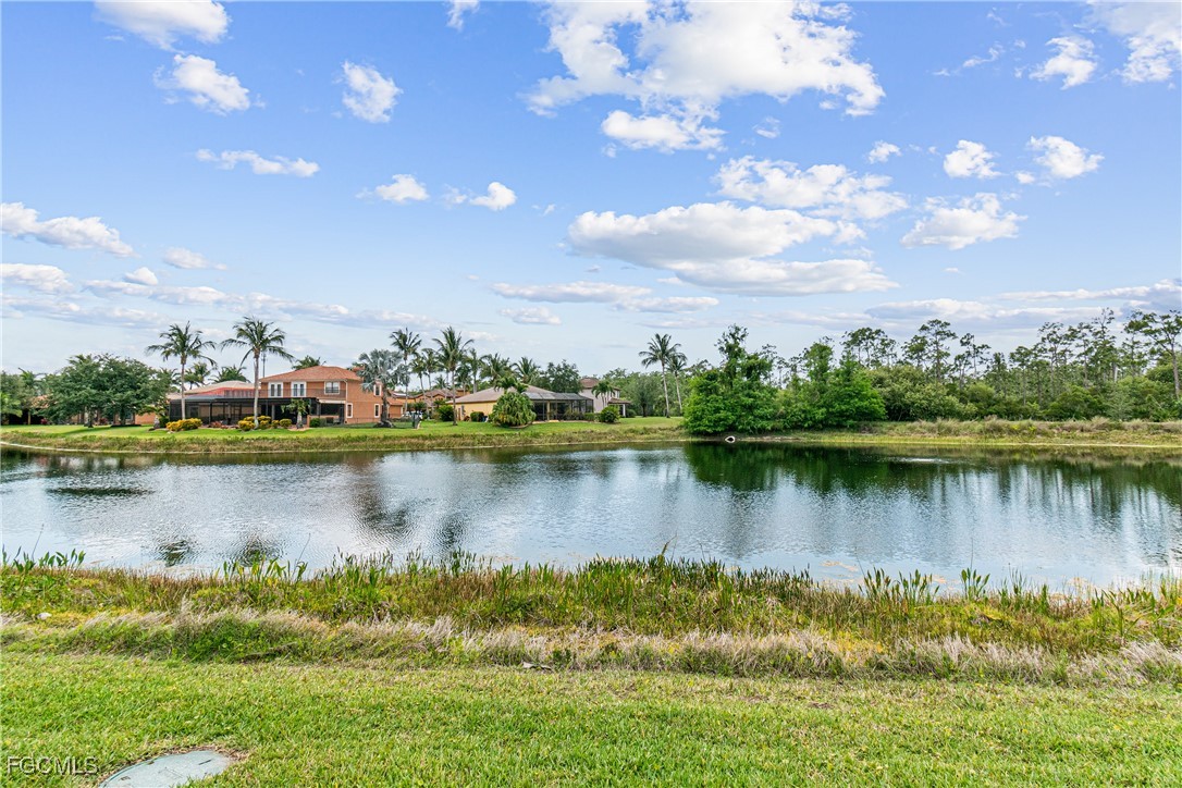 Real Estate in Southwest Florida