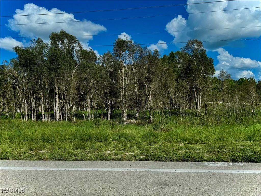 1005/1007  Homestead Road