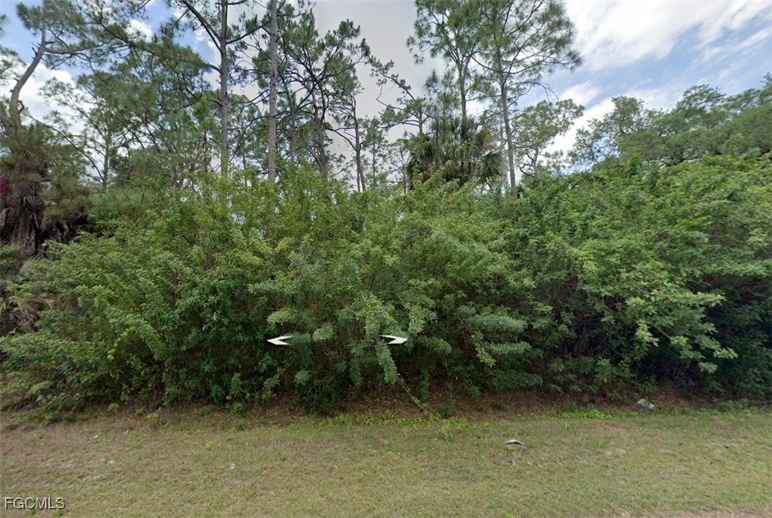 817 - 815  Michael Avenue