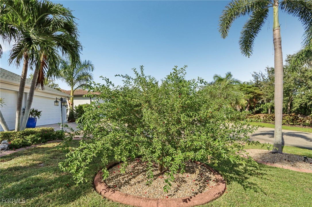 11558  Royal Tee Circle