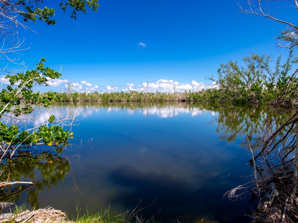 Real Estate in Southwest Florida