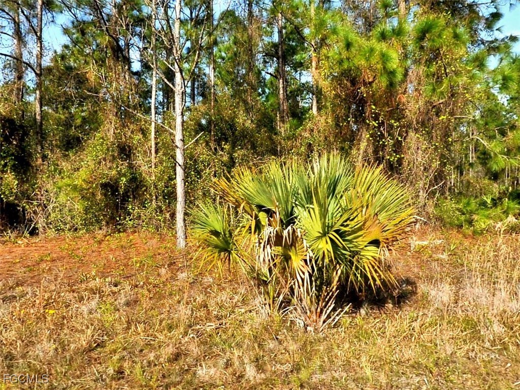 LOT 24  Marlborough Avenue