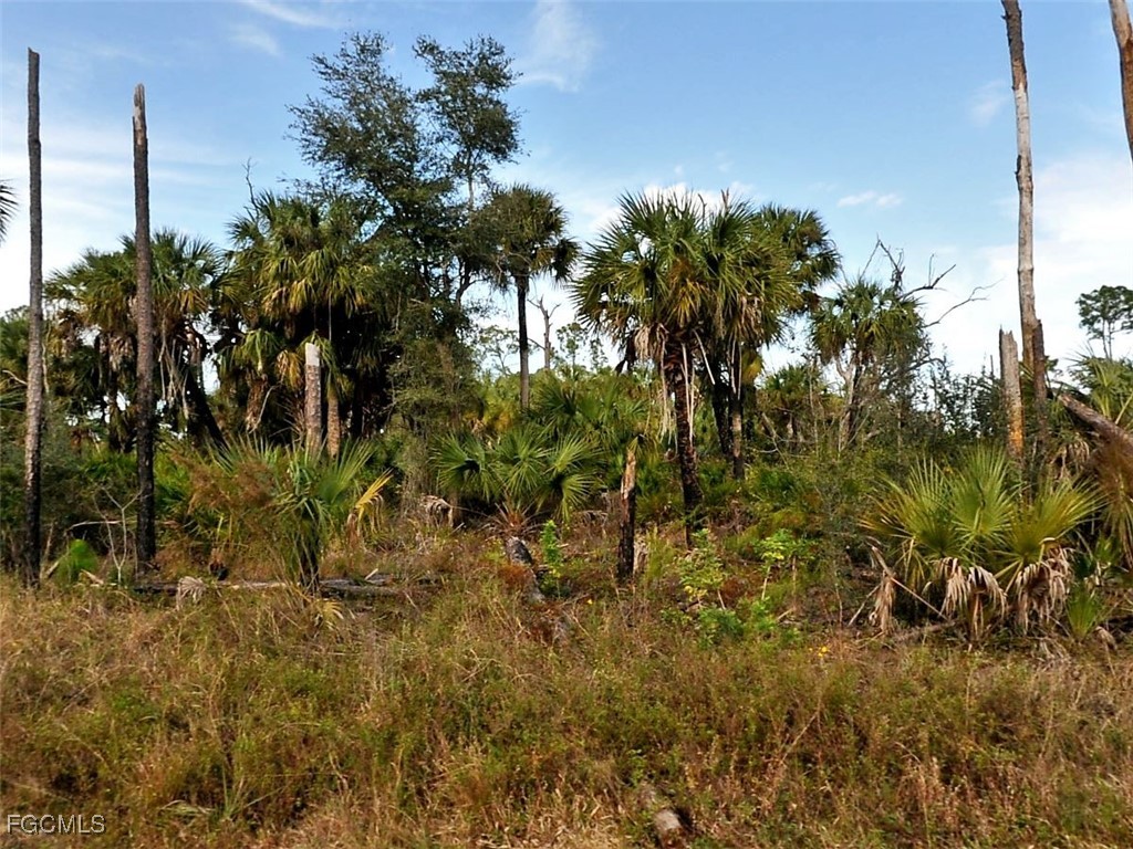 LOT 5  Mansfield Circle