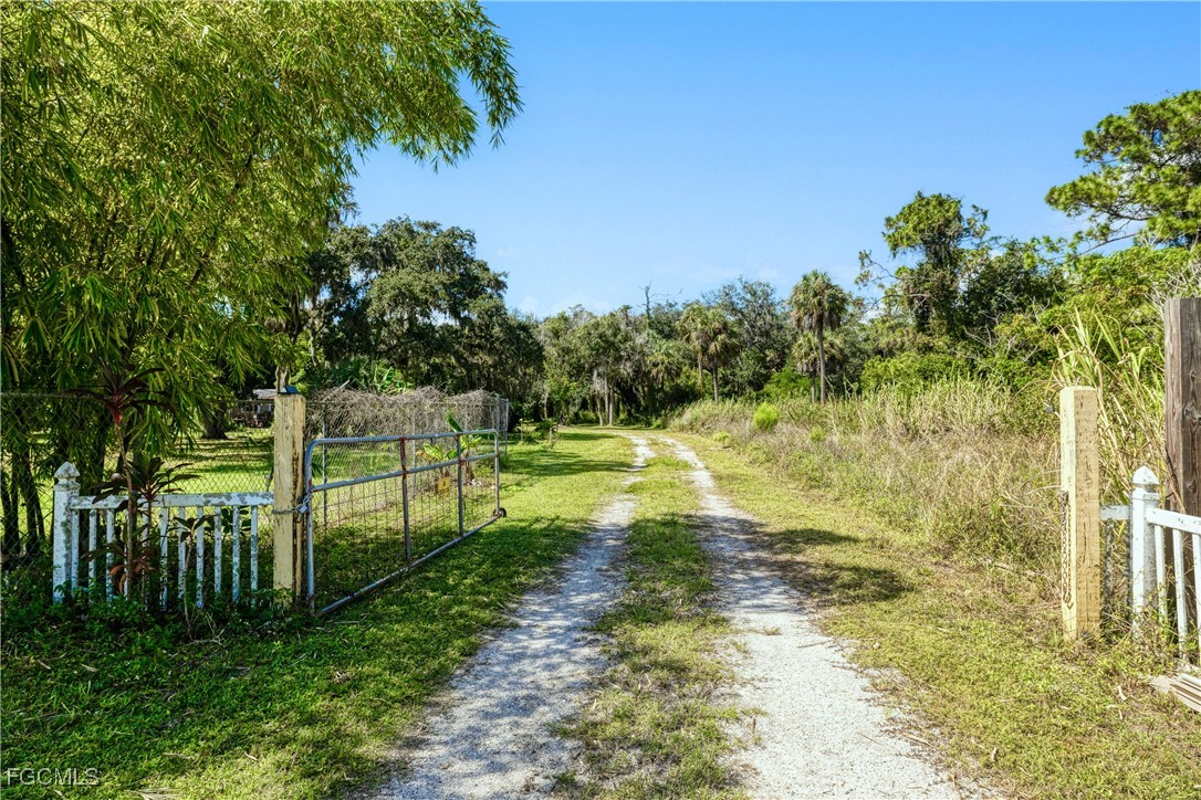 Real Estate in Southwest Florida
