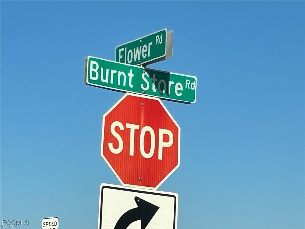 26129  Flower Road