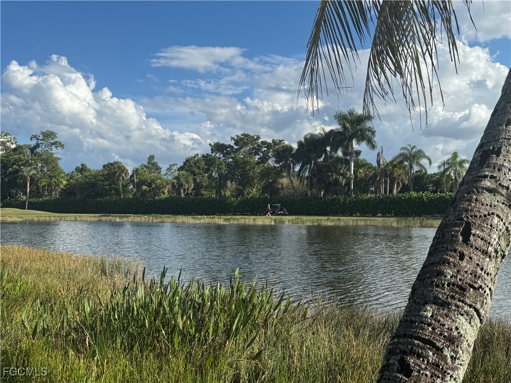 Real Estate in Southwest Florida