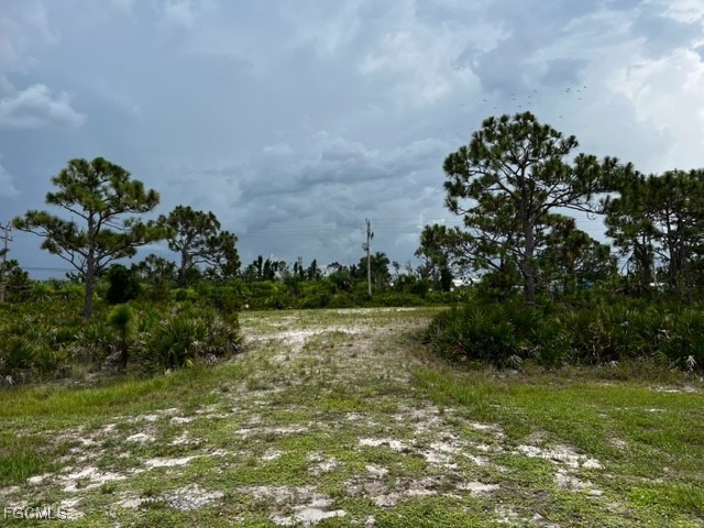 12528  Canoe Trail