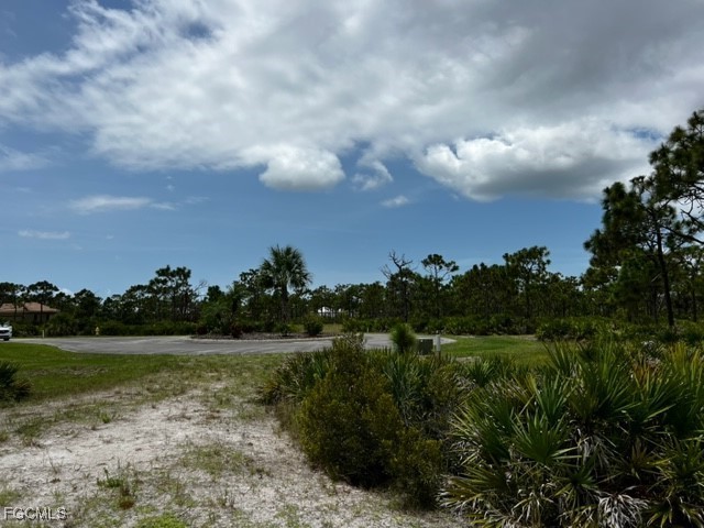12528  Canoe Trail