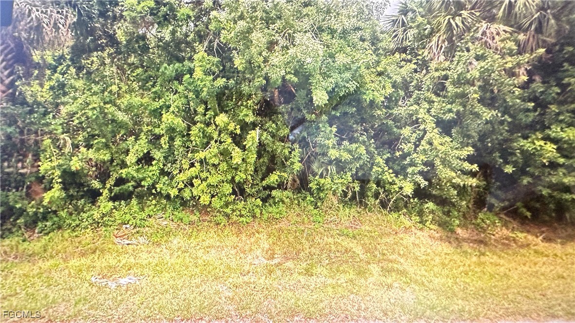 1205  Oxsalida Street