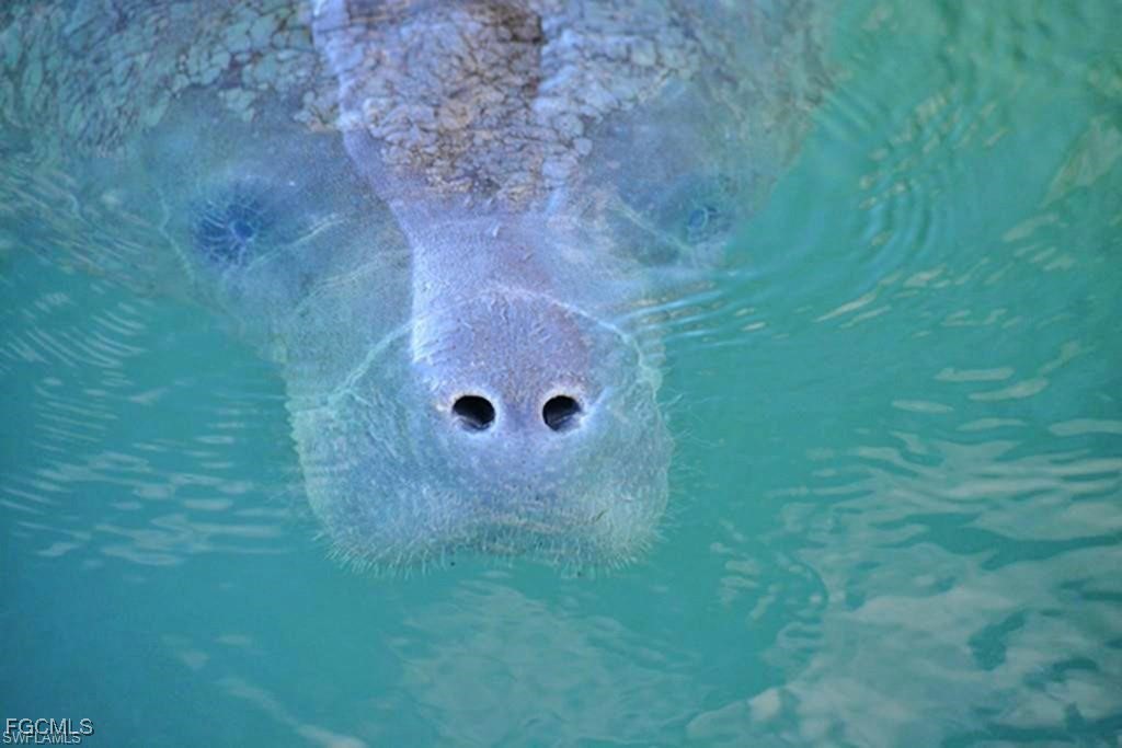 12030  Bramble Cove Drive