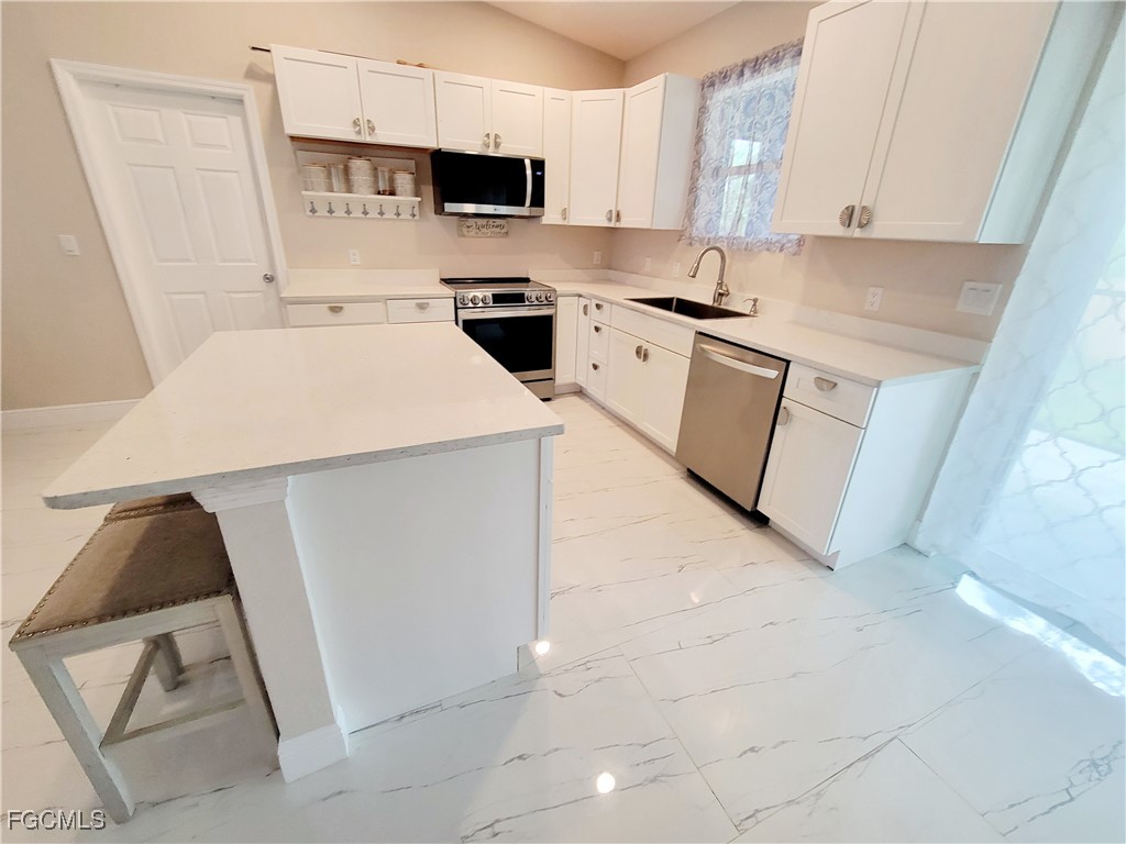 1138  Jaguar Boulevard