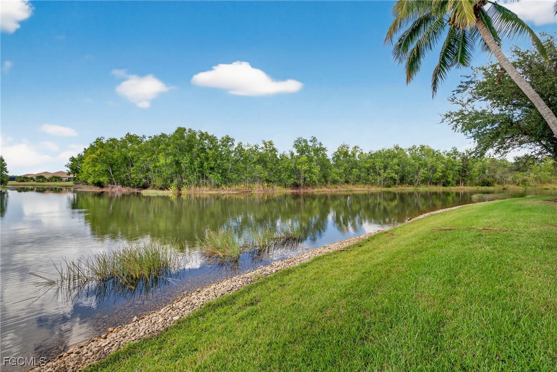 11990  Hidden Links Drive