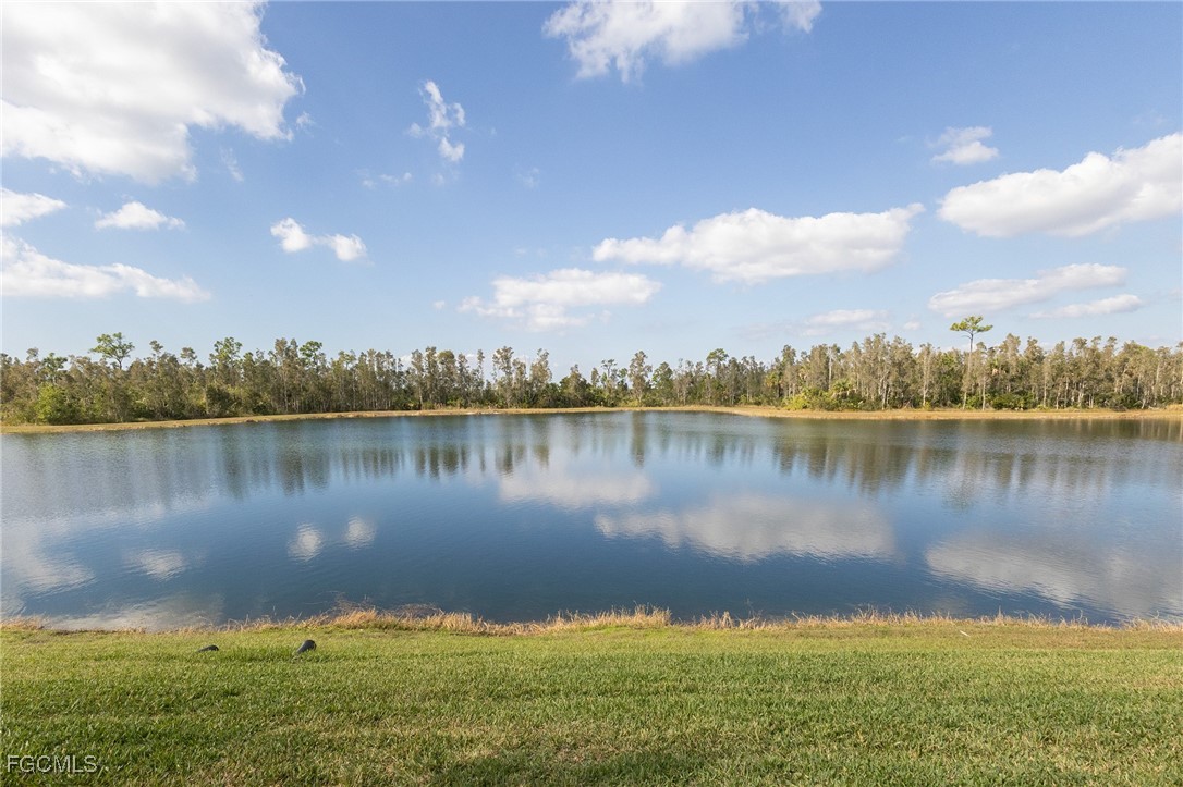 Real Estate in Southwest Florida