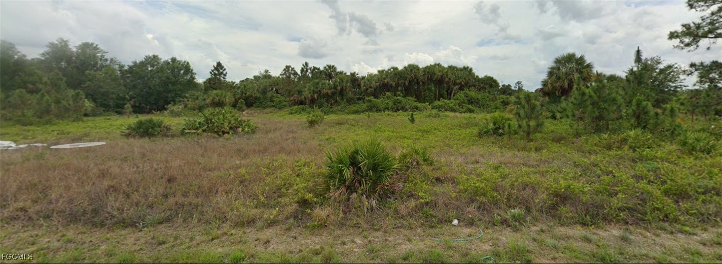 1246 Hillburn Street