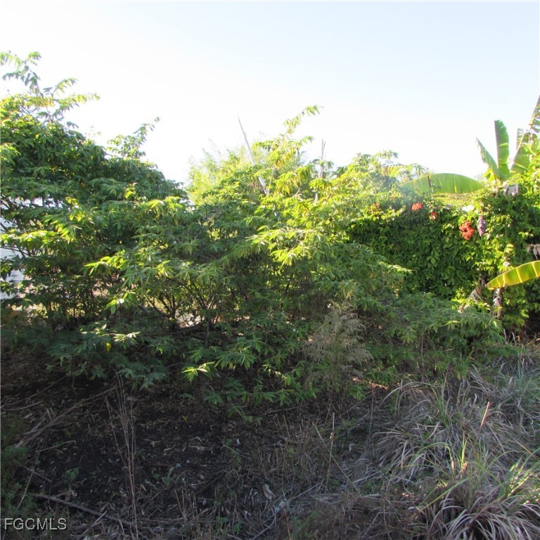 13560 / 13572  Stringfellow Road