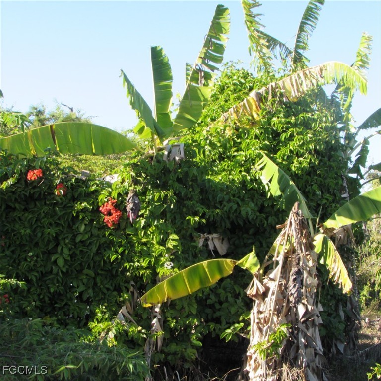 13560 / 13572  Stringfellow Road